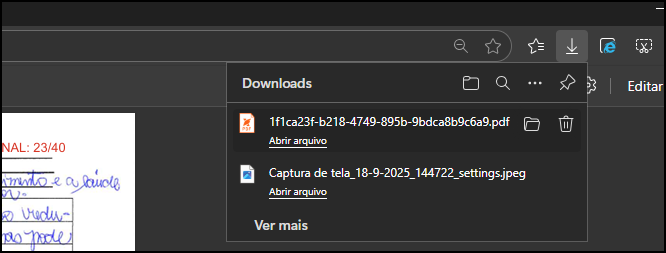 Ícone de um arquivo PDF associado ao Foxit Reader